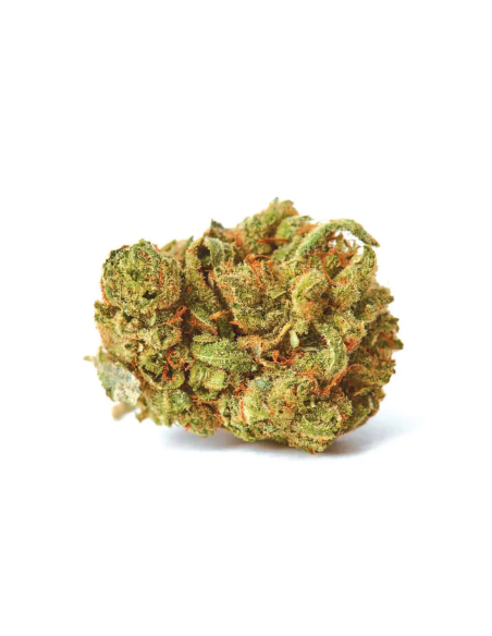Graines Amnesia Lemon Auto – Just Seeds – fleur de cannabis séchée, illustration