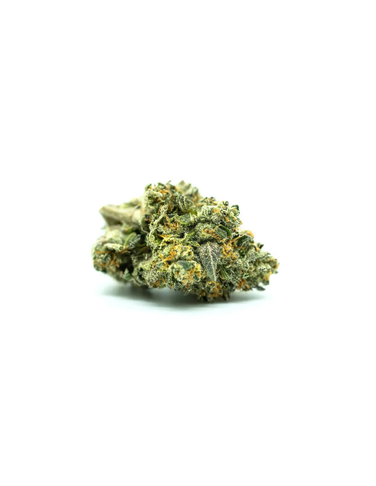 Graines Watermelon Zkittlez Auto – Just Seeds – fleur séchée, gros plan