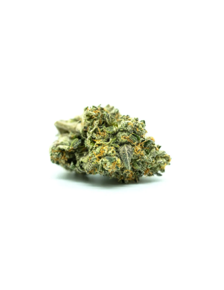 Graines Watermelon Zkittlez Auto – Just Seeds – fleur séchée, gros plan