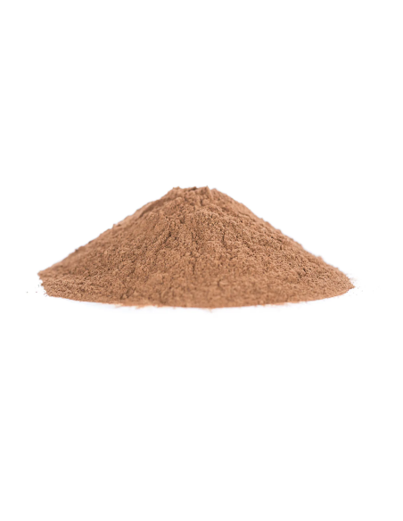 Noix de kola (Cola nitida) – graines en poudre – détail de la poudre