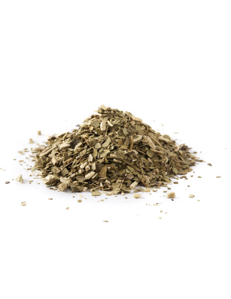 Yerba maté (Ilex paraguariensis) – feuilles finement coupées – détail des feuilles