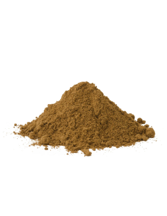 Guarana (Paullinia cupana) – graines en poudre du Brésil 2