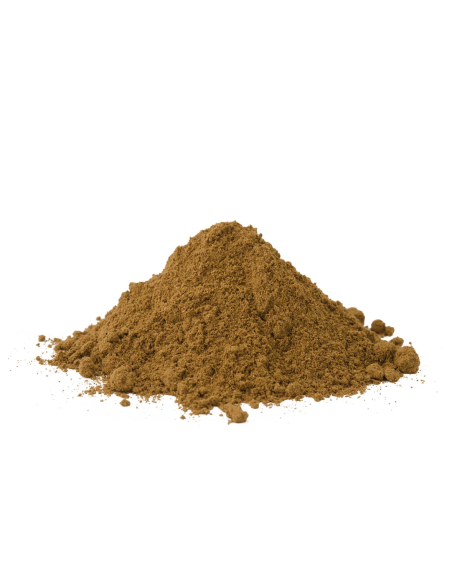 Guarana – Paullinia cupana – poudre de graines, vue de détail