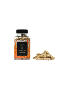 Cordyceps – McMyco, 120 gélules 2