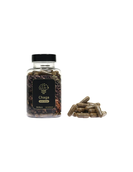 Chaga (Inonotus obliquus) – McMyco, 120 gélules – pot et gélules brun foncé en vrac
