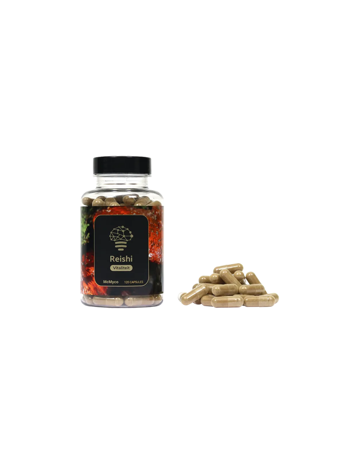 Reishi (Ganoderma lucidum) – McMyco, 120 gélules – pot et gélules en vrac