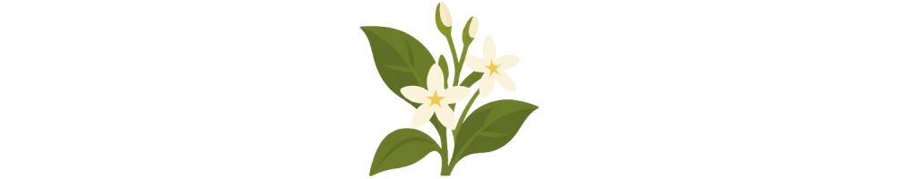 Sananga