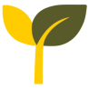 Banisteriopsis caapi