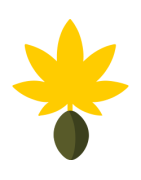 Graines autofloraison : 10 variétés Just Seeds | Mycotrop